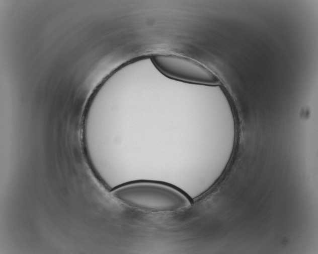 X0000111141285200907211129