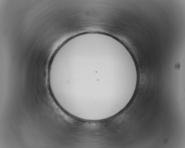 X0000111141286200907211129