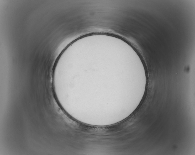 X0000111141287200907211129