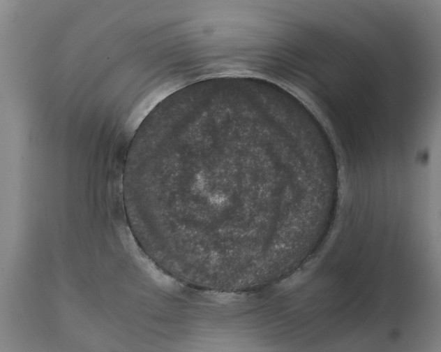 X0000111141289200907211129