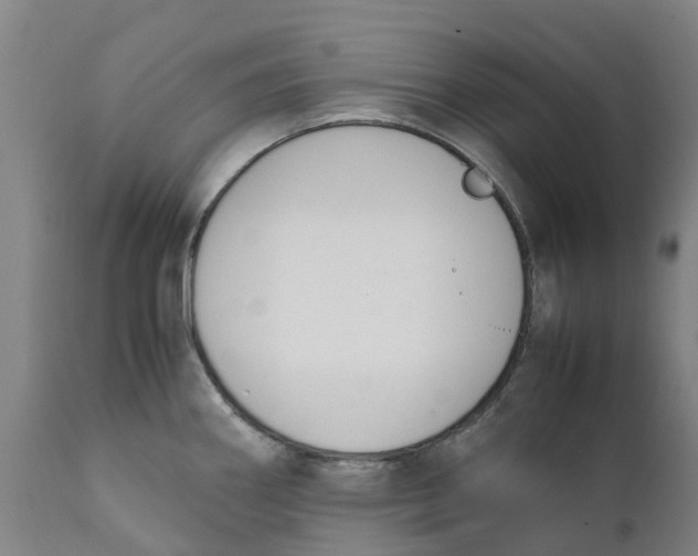 X0000111141290200907211129