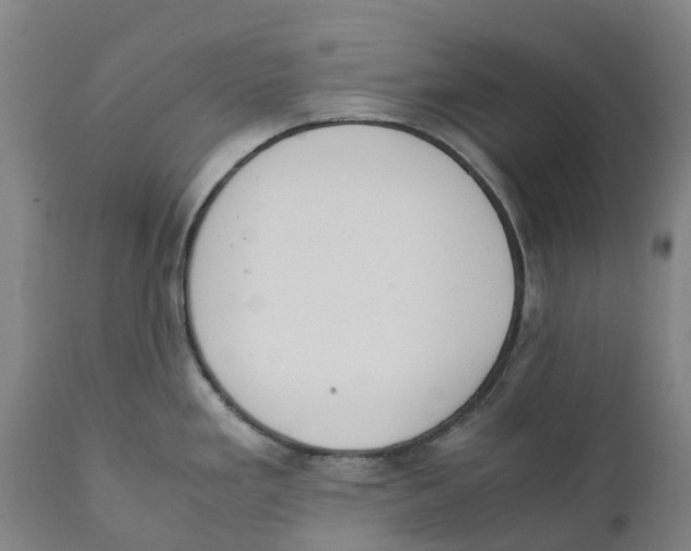 X0000111141293200907211129