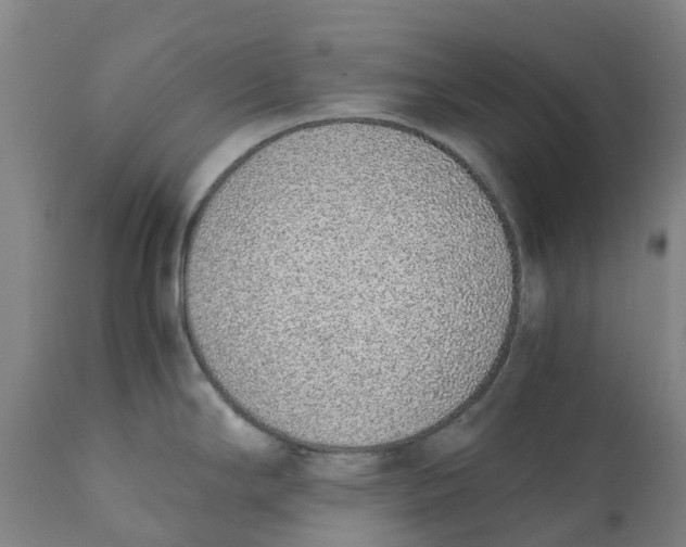 X0000111141294200907211129