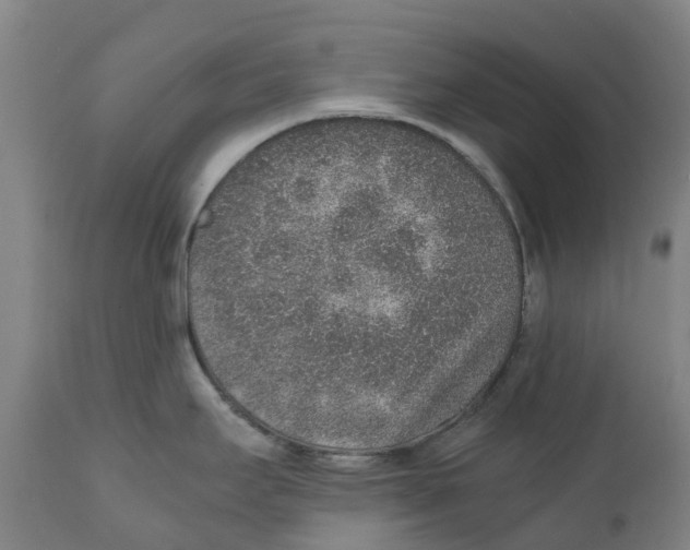 X0000111141295200907211129