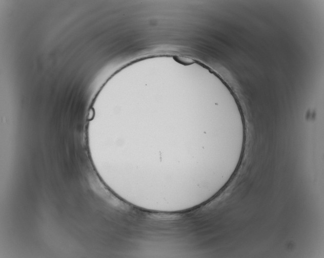 X0000111141296200907211129