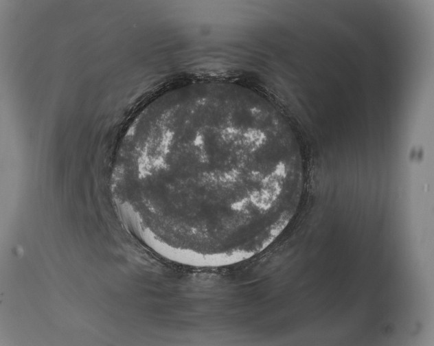 X0000111141297200907211129