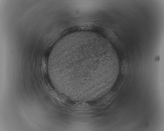 X0000111141298200907211129