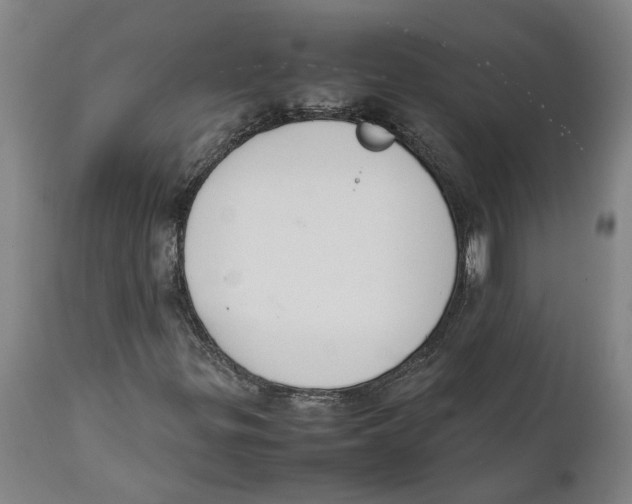 X0000111141299200907211129