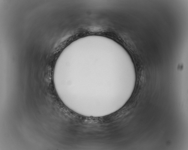 X0000111141301200907211129