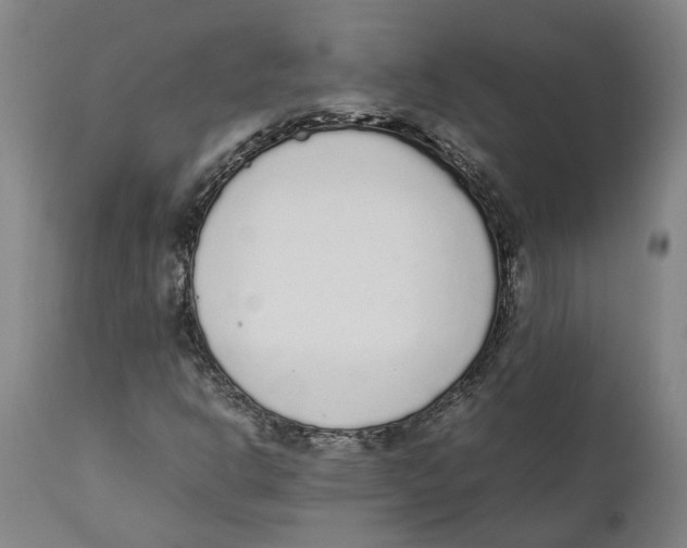 X0000111141302200907211129