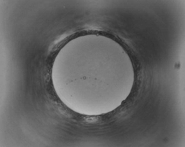 X0000111141303200907211129