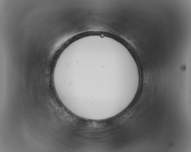 X0000111141311200907211129