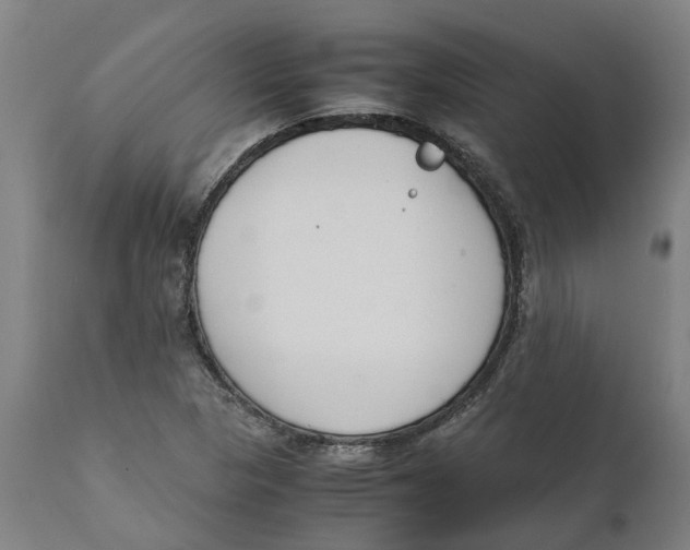 X0000111141313200907211129