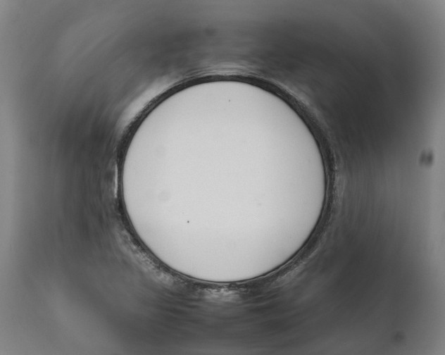 X0000111141317200907211129