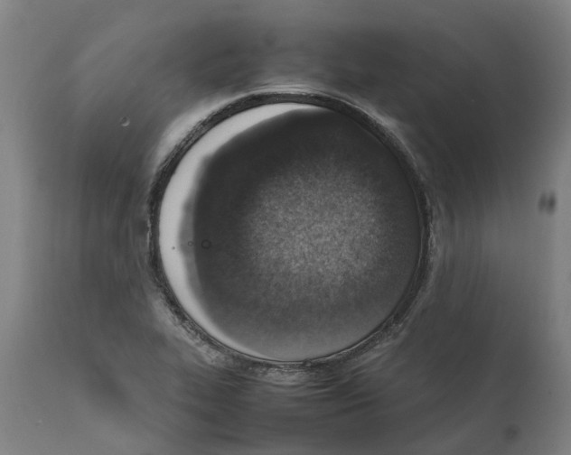 X0000111141319200907211129