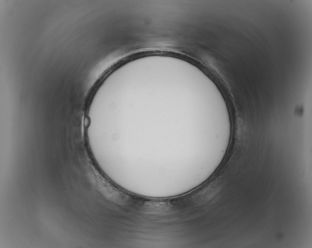 X0000111141320200907211129