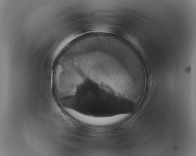 X0000111141323200907211129