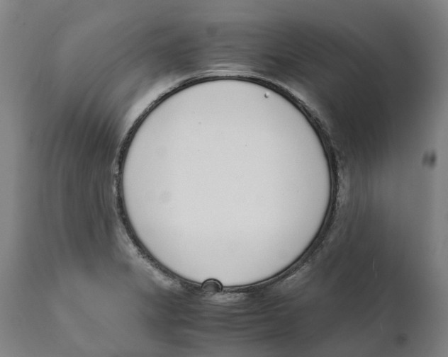 X0000111141325200907211129