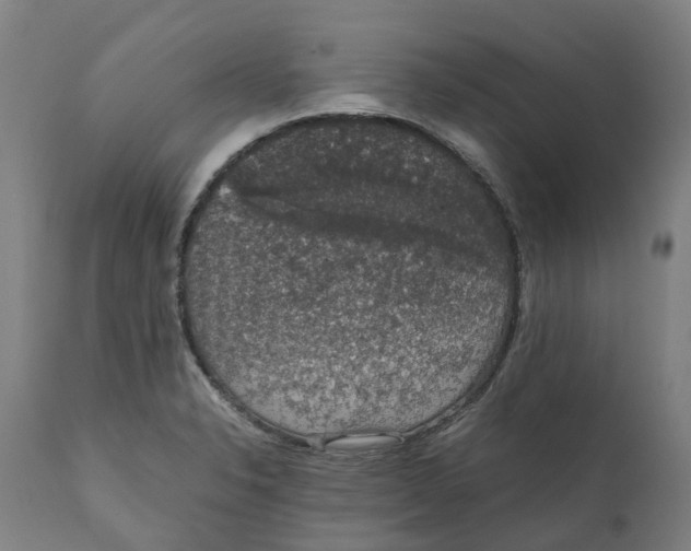 X0000111141326200907211129