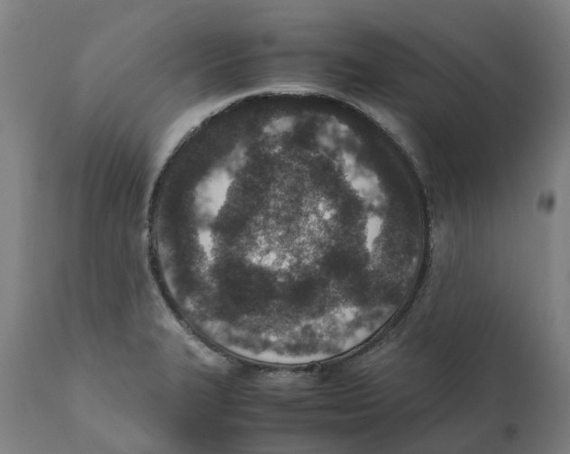 X0000111141327200907211129