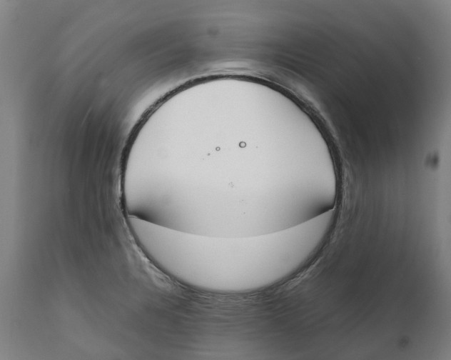 X0000111141328200907211129