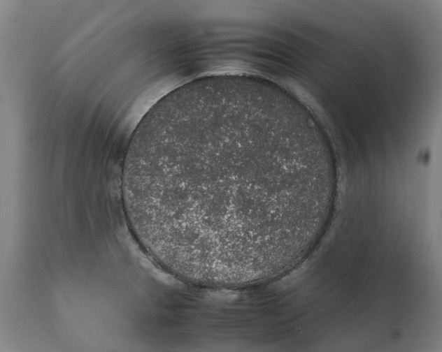 X0000111141329200907211129