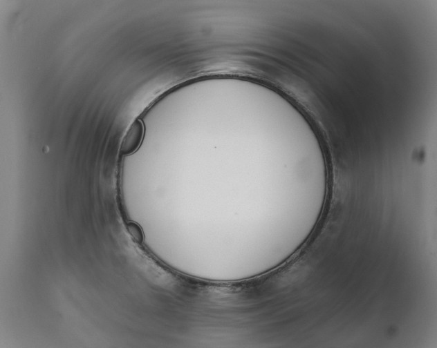 X0000111141330200907211129