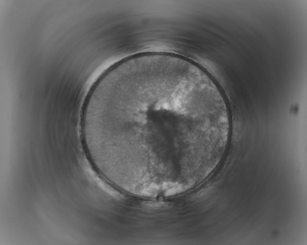 X0000111141331200907211129