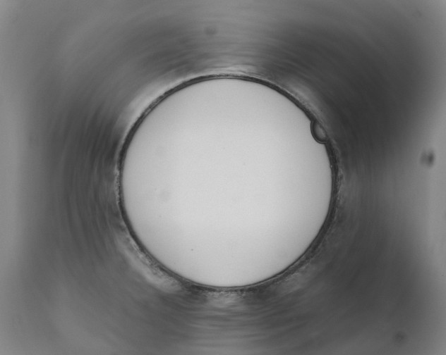 X0000111141332200907211129