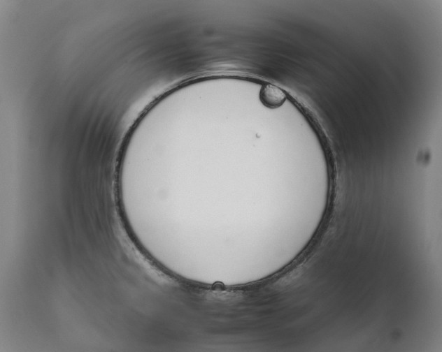 X0000111141333200907211129