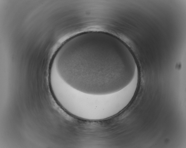 X0000111141334200907211129