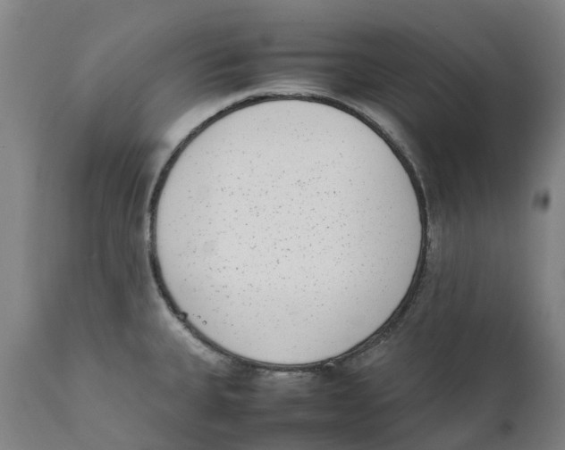 X0000111141335200907211129