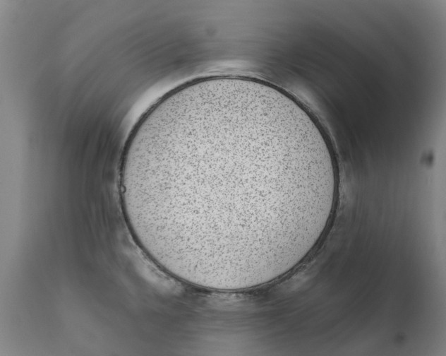 X0000111141336200907211129