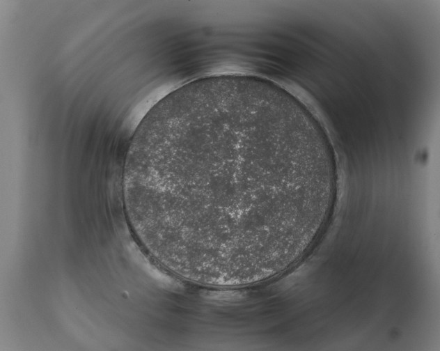 X0000111141337200907211129