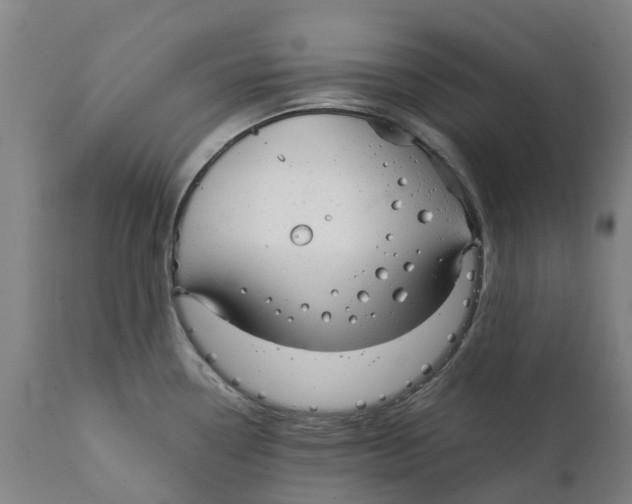 X0000111141338200907211129