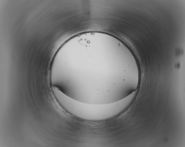 X0000111141340200907211129