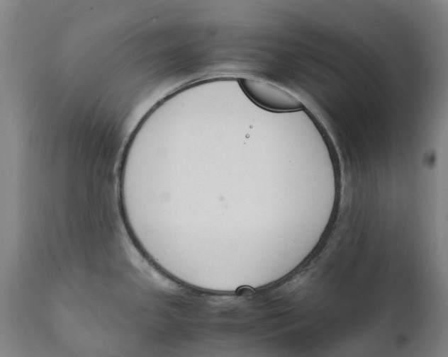 X0000111141341200907211129