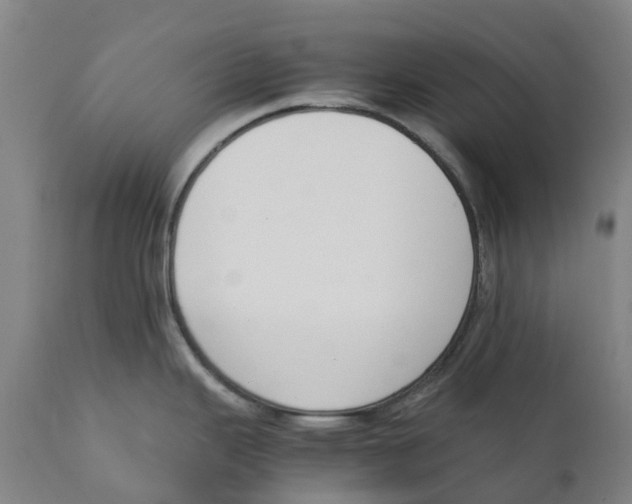 X0000111141343200907211129