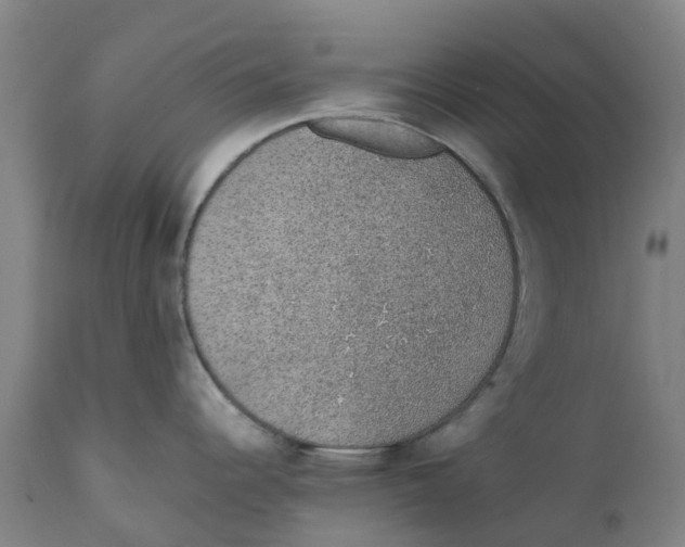 X0000111141344200907211129