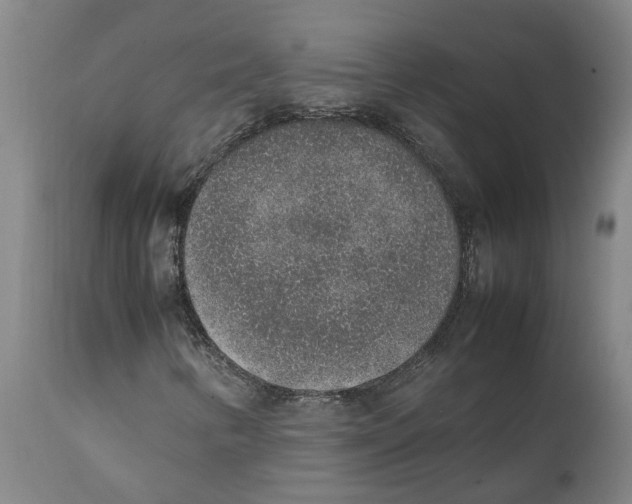 X0000111141346200907211129