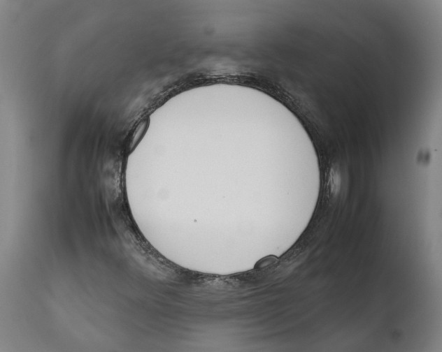 X0000111141348200907211129