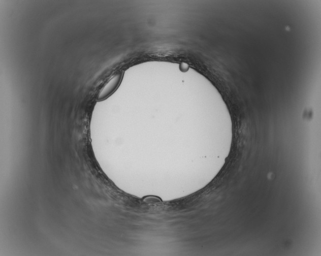 X0000111141349200907211129