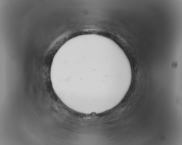 X0000111141351200907211129