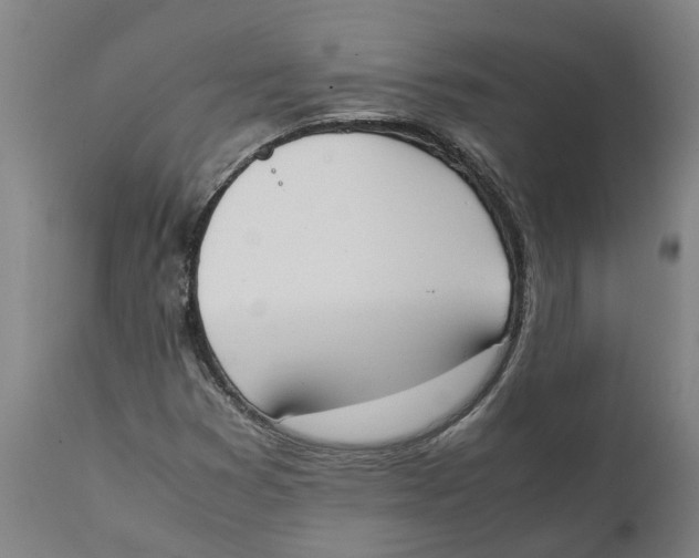 X0000111141353200907211129