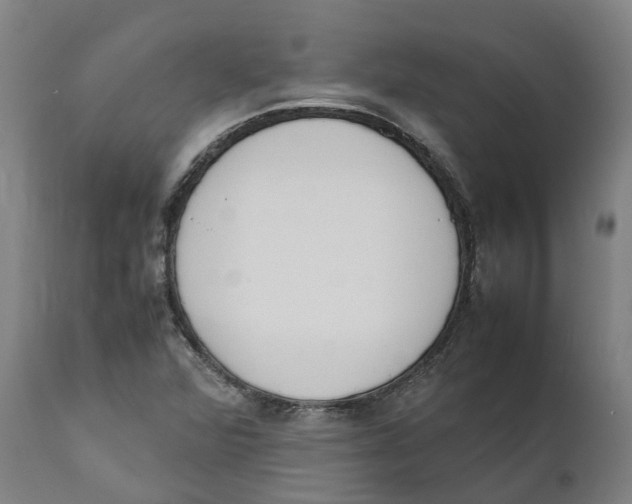 X0000111141360200907211128