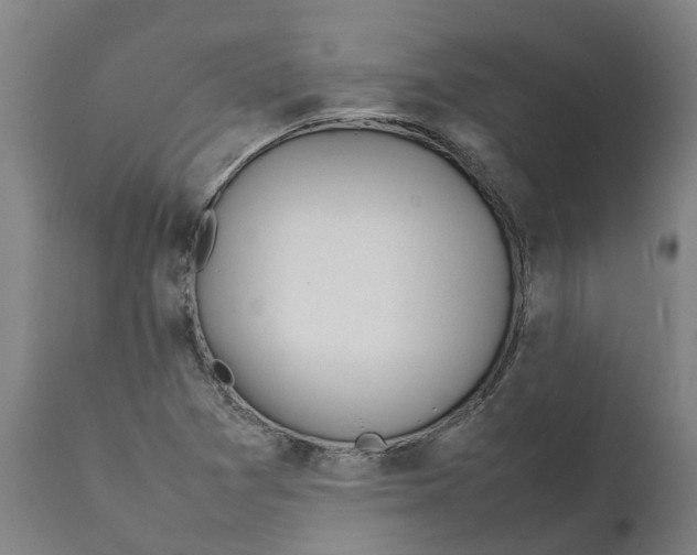 X0000111141361200907211128