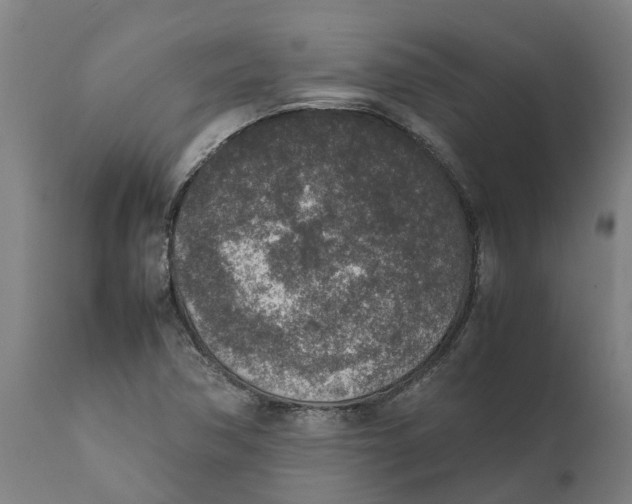 X0000111141362200907211128