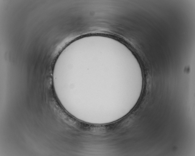 X0000111141363200907211128