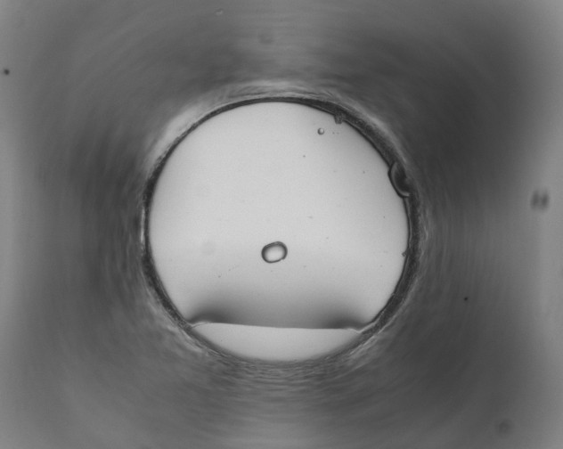 X0000111141365200907211128