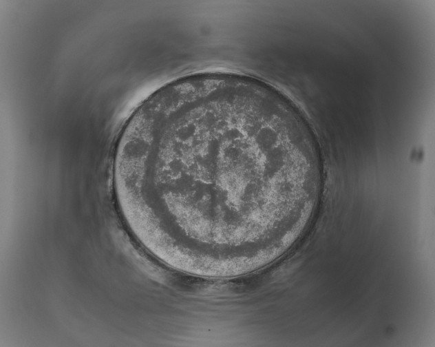 X0000111141367200907211128